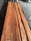 Красная древесина шкафа Яблока 12CM лощит влагу 12% для того чтобы примениться к мебели