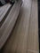 Проектированная водоустойчивая деревянная пила длины 245cm облицовки отрезала ранг облицовки A/B